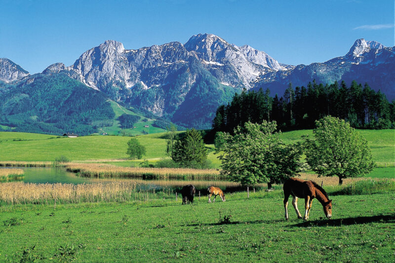 Das Hotel Gutjahr bietet im Sommer einen tollen Ausblick auf das Tennengebirge.